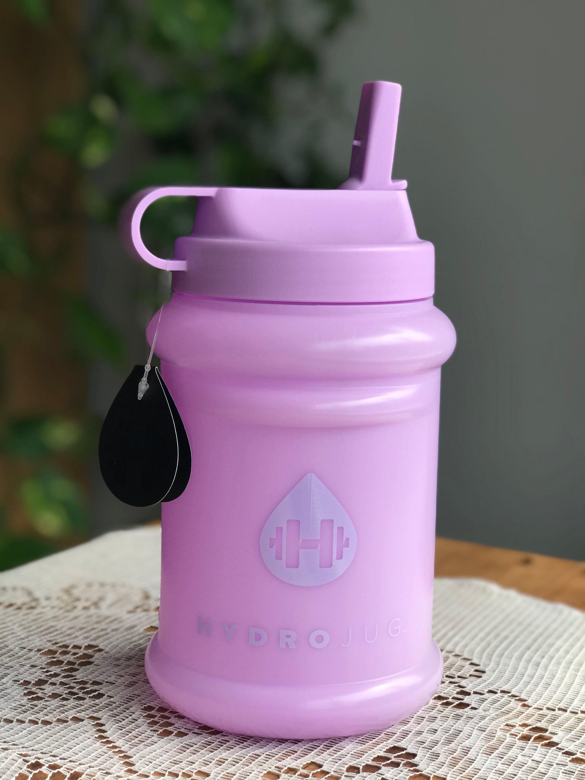 Plum 2024 Hydrojug